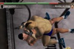 Ultimate Fighting Championship: Tapout (Xbox)