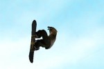ESPN Winter X-Games Snowboarding 2002 (PlayStation 2)