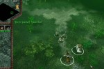 Strategy 3: The Dark Legions (PC)