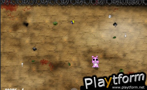 Crazy rabbit in backyard (iPhone/iPod)