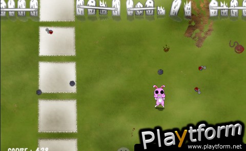 Crazy rabbit in backyard (iPhone/iPod)