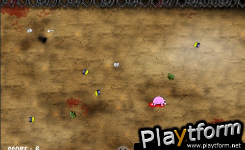 Crazy rabbit in backyard (iPhone/iPod)