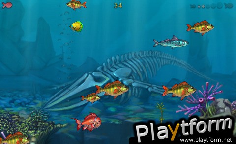 iFish Adventure (iPhone/iPod)