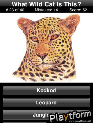 A Wild Cats Quiz (iPhone/iPod)