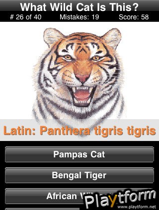 A Wild Cats Quiz (iPhone/iPod)