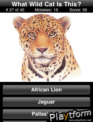 A Wild Cats Quiz (iPhone/iPod)