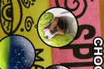 Spin Dizzy (iPhone/iPod)