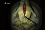 Silent Hill: Shattered Memories (Wii)