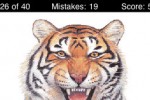 A Wild Cats Quiz (iPhone/iPod)
