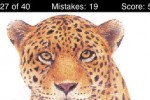 A Wild Cats Quiz (iPhone/iPod)