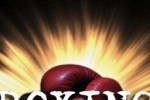 Boxing Match (iPhone/iPod)