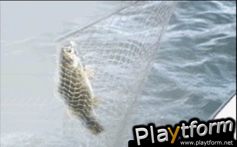 ESPN Great Outdoor Games Bass 2002 (Game Boy Advance)