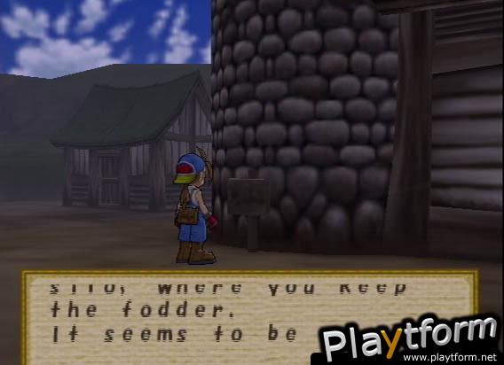 Harvest Moon: Save the Homeland (PlayStation 2)