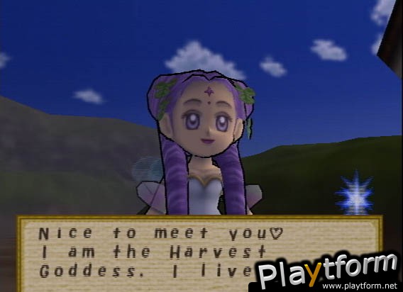 Harvest Moon: Save the Homeland (PlayStation 2)