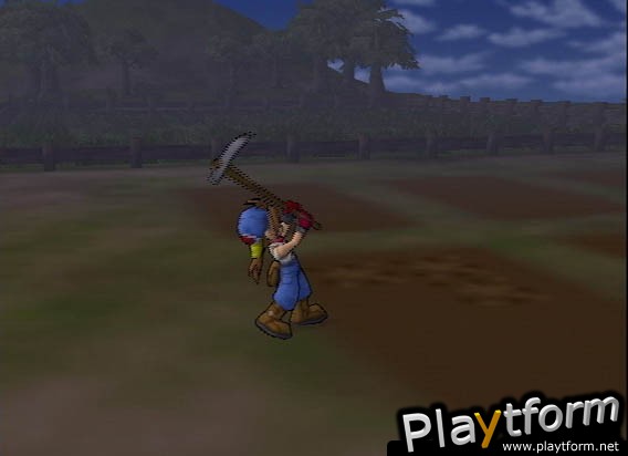 Harvest Moon: Save the Homeland (PlayStation 2)