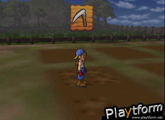 Harvest Moon: Save the Homeland (PlayStation 2)