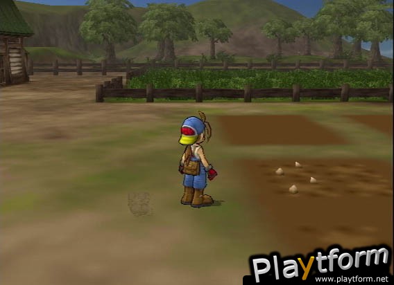 Harvest Moon: Save the Homeland (PlayStation 2)