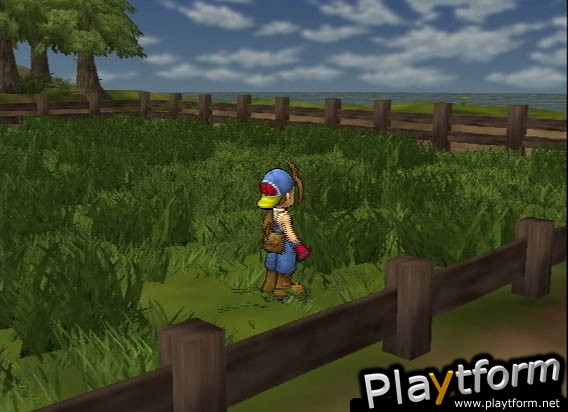 Harvest Moon: Save the Homeland (PlayStation 2)