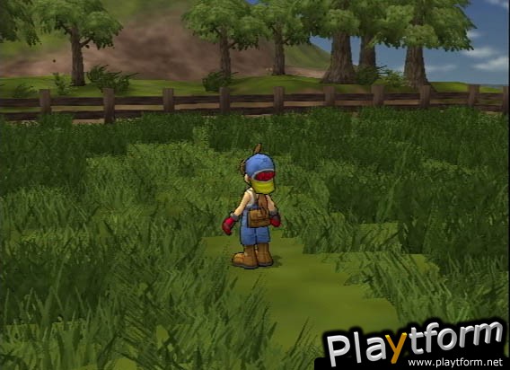 Harvest Moon: Save the Homeland (PlayStation 2)
