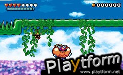Wario Land 4 (Game Boy Advance)