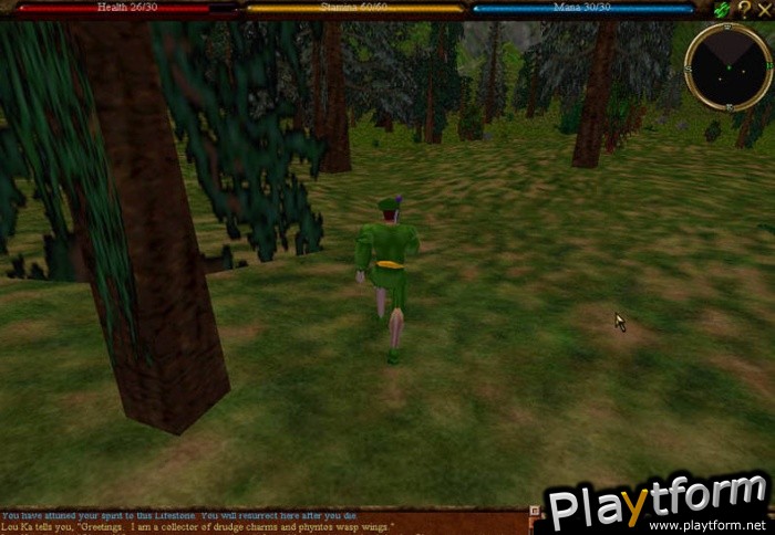 Asheron's Call Dark Majesty (PC)