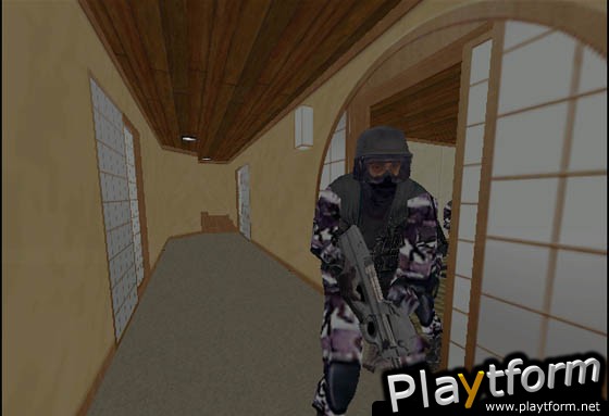Tom Clancy's Rainbow Six Rogue Spear: Black Thorn (PC)