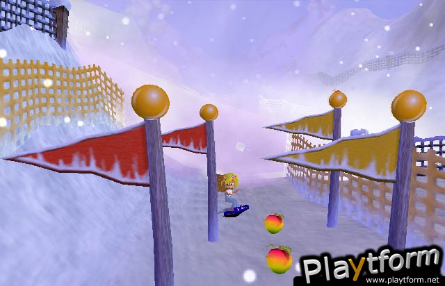 Crash Bandicoot: The Wrath of Cortex (PlayStation 2)