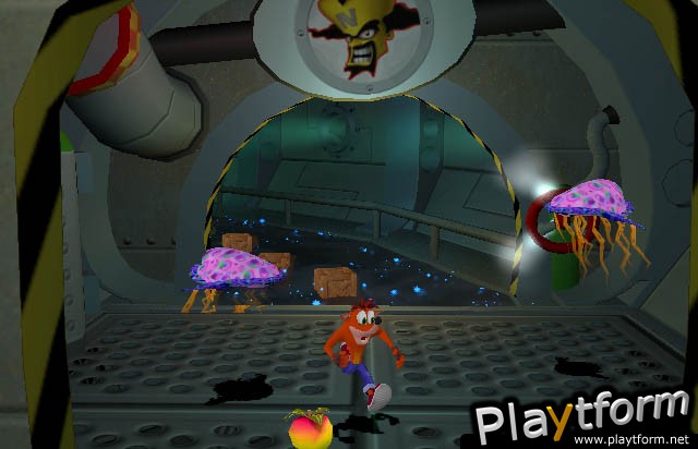 Crash Bandicoot: The Wrath of Cortex (PlayStation 2)