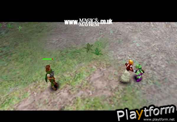 Magic & Mayhem: The Art of Magic (PC)