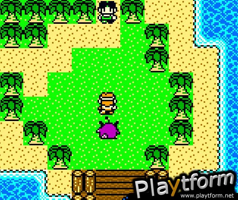 Dragon Warrior Monsters 2: Cobi's Journey (Game Boy Color)