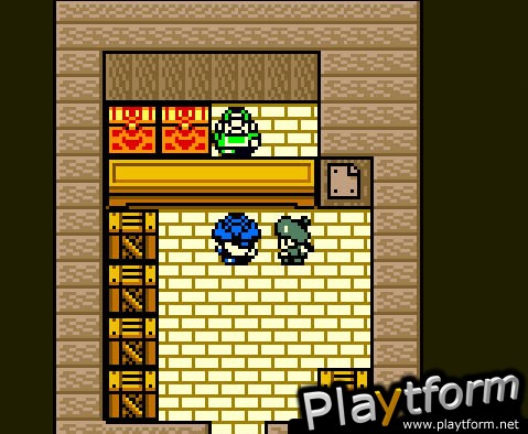 Dragon Warrior Monsters 2: Cobi's Journey (Game Boy Color)