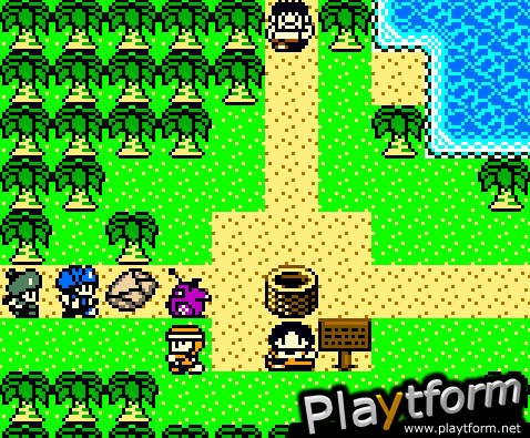 Dragon Warrior Monsters 2: Cobi's Journey (Game Boy Color)