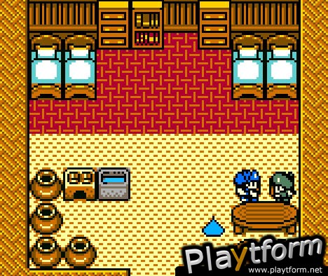 Dragon Warrior Monsters 2: Cobi's Journey (Game Boy Color)