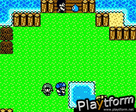 Dragon Warrior Monsters 2: Cobi's Journey (Game Boy Color)
