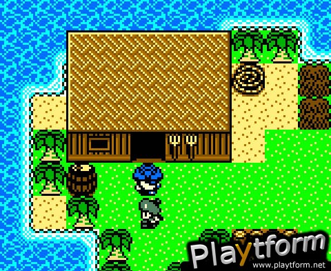 Dragon Warrior Monsters 2: Cobi's Journey (Game Boy Color)