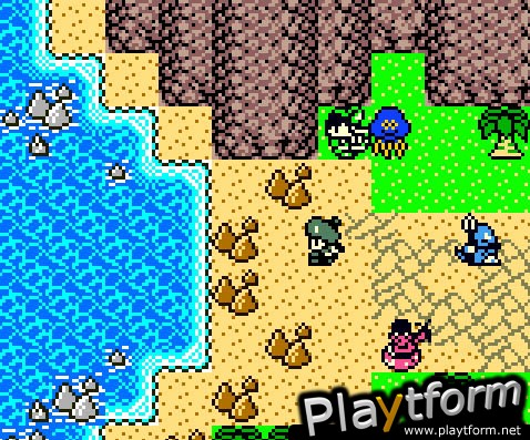 Dragon Warrior Monsters 2: Cobi's Journey (Game Boy Color)