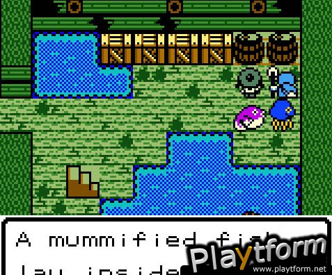 Dragon Warrior Monsters 2: Cobi's Journey (Game Boy Color)