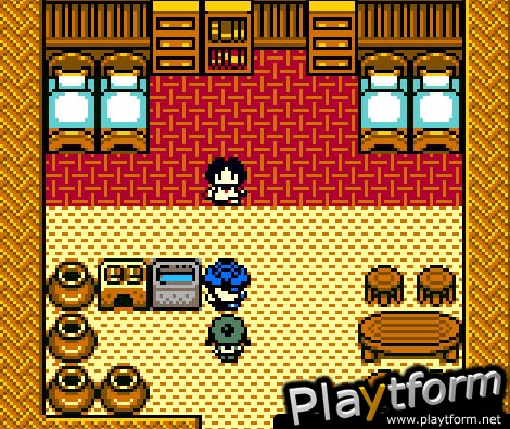 Dragon Warrior Monsters 2: Cobi's Journey (Game Boy Color)