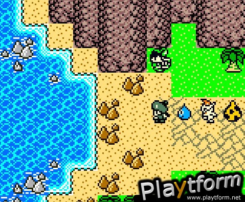 Dragon Warrior Monsters 2: Cobi's Journey (Game Boy Color)