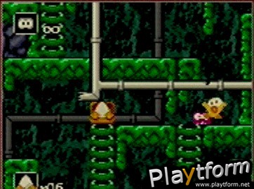 Toki Tori (Game Boy Color)