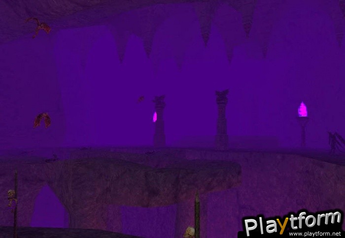 Dark Age of Camelot (PC)