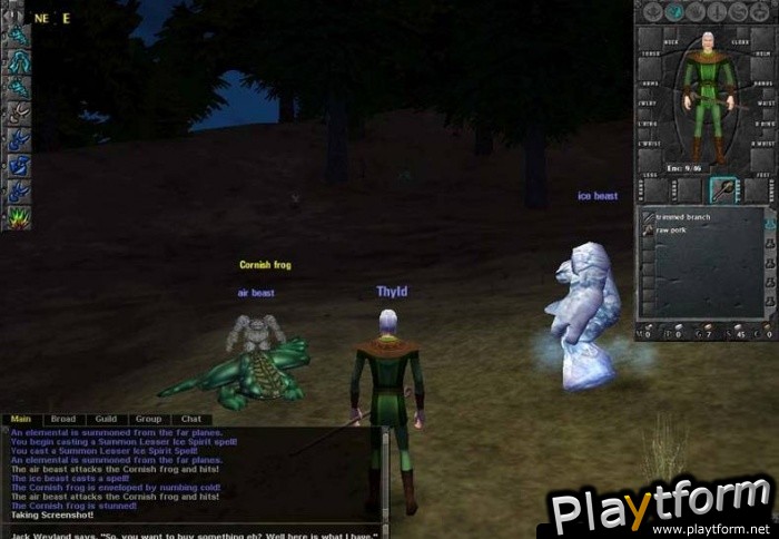 Dark Age of Camelot (PC)