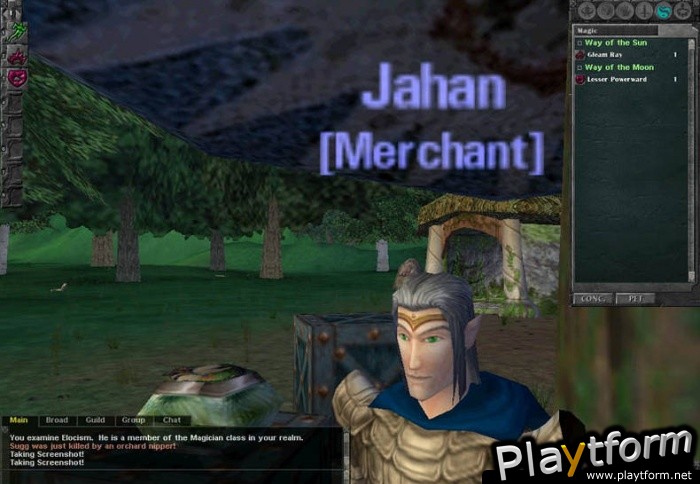 Dark Age of Camelot (PC)
