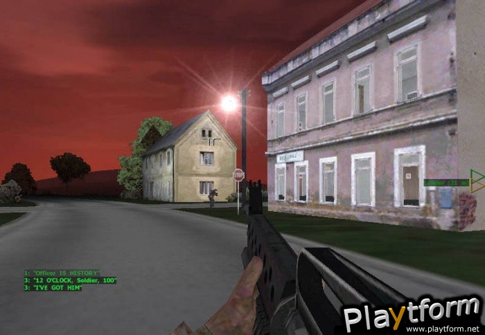 Operation Flashpoint: Cold War Crisis (PC)