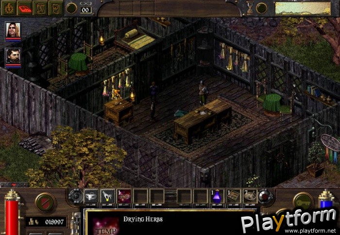Arcanum: Of Steamworks and Magick Obscura (PC)