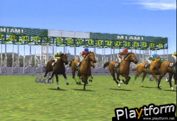 Gallop Racer 2001 (PlayStation 2)