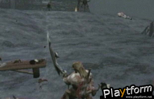 Rune: Viking Warlord (PlayStation 2)