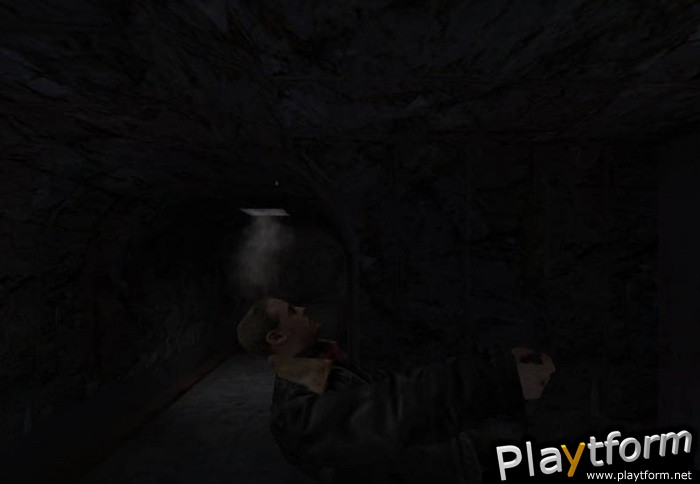 Max Payne (PC)