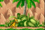 KAO the Kangaroo (Game Boy Advance)