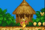 KAO the Kangaroo (Game Boy Advance)